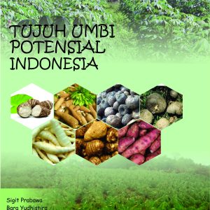 TUJUH UMBI POTENSIAL INDONESIA