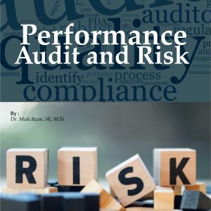 Performance Audit and Risk