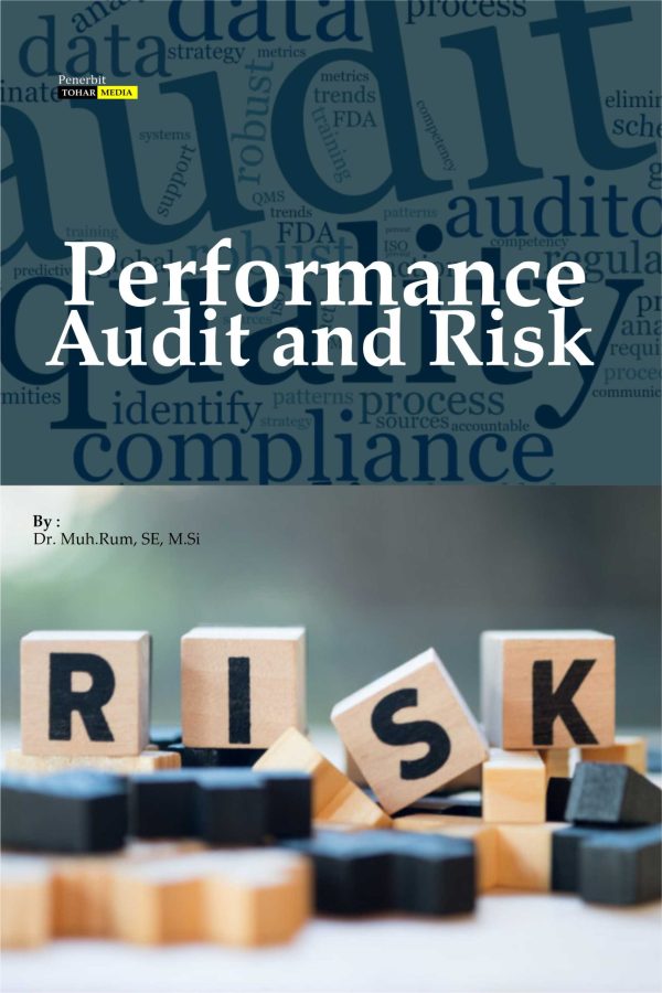 Performance Audit and Risk