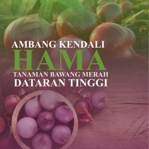 AMBANG KENDALI HAMA TANAMAN BAWANG MERAH  DATARAN TINGGI - Image 2